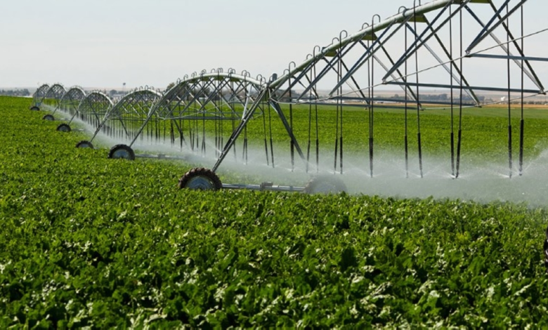 Saudi-Dutch agreement for the agricultural treatment of poultry waste