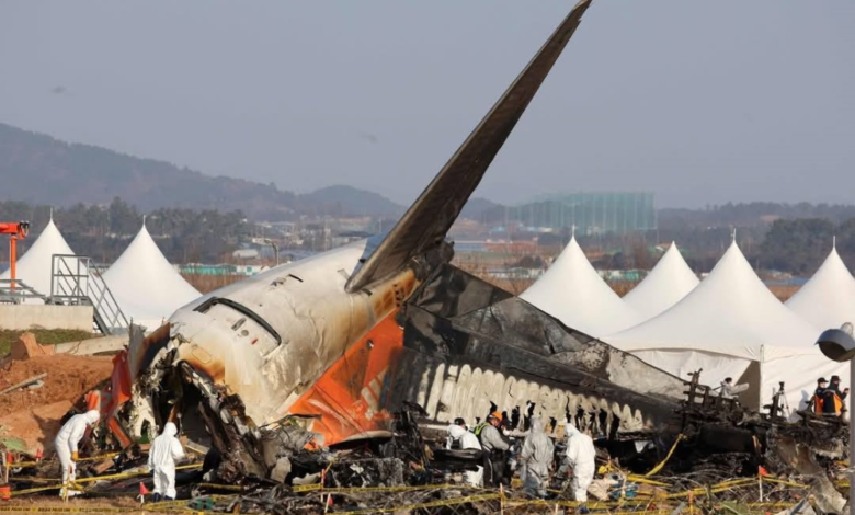 $49.5 million in compensation for a victim of the Boeing 737 Max plane crash