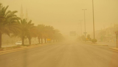 Weather forecast for Saudi Arabia on Friday: Active winds and thunderstorms with rain