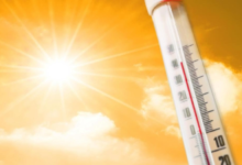 Saudi Arabia weather today: Temperatures reach 44 degrees Celsius