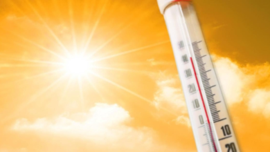 Saudi Arabia weather today: Temperatures reach 44 degrees Celsius