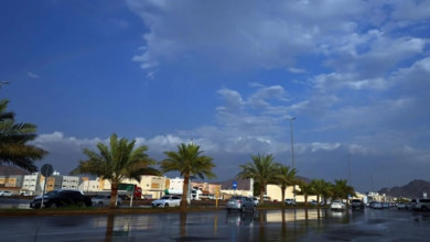 حالة الطقس في السعودية الأحد: أمطار رعدية ورياح نشطة