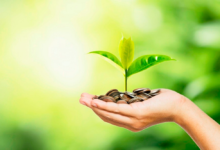 Financial classification of NGOs: Linking governance to revenues