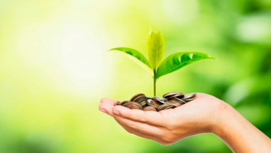 Financial classification of NGOs: Linking governance to revenues