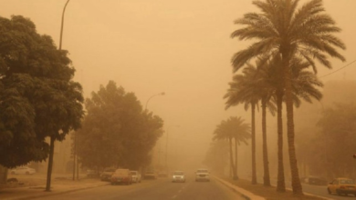 The National Center for Meteorology warns of dust storms in Najran and Tabuk