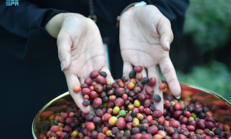 Saudi Arabia's agricultural production volume for 2024 is 16 million tons