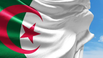 إدانة جزائرية وباكستانية لمحاولة استهداف المملكة بمسيرات