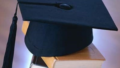Northern Border University launches integrated PhD in Computer Science