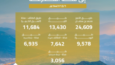 65,000 vehicles cross into Mecca: Statistics and transportation efforts during Hajj