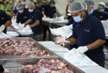 900 ألف حاج يتعاقدون مع مشروع الهدي والأضاحي لموسم الحج