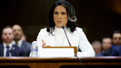 Tulsi Gabbard's resignation from the Trump administration: details and reasons