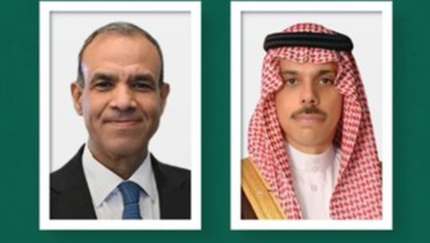 مباحثات وزير الخارجية السعودي والمصري: تطورات المنطقة