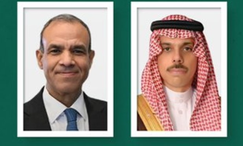 مباحثات وزير الخارجية السعودي والمصري: تطورات المنطقة