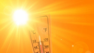 Temperatures in Saudi Arabia: Holy sites record highest rates