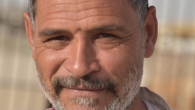 Prices of sacrificial animals in Sharqia in 2024: A significant increase before Eid al-Adha