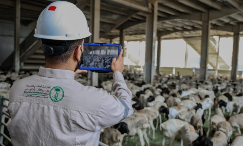Environmental monitoring in Mecca: 843 visits to slaughterhouses during the Hajj season