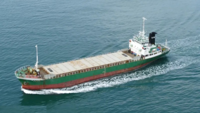 US forces disrupt cargo ship bound for Iran in the Gulf waters