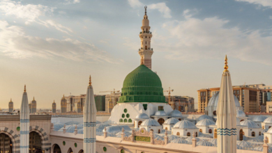 محاضرات علمية في المسجد النبوي تطلقها الشؤون الدينية