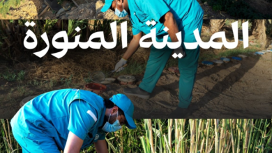 جولات وقاء الرقابية بالمدينة: فحص 153 ألف ماشية وتعزيز الأمن الغذائي