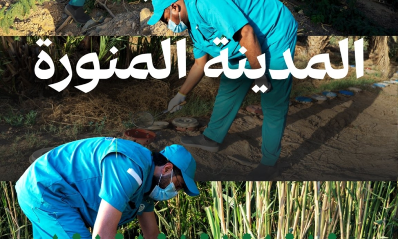 Preventive inspection tours in the city: 153,000 livestock examined and food security enhanced