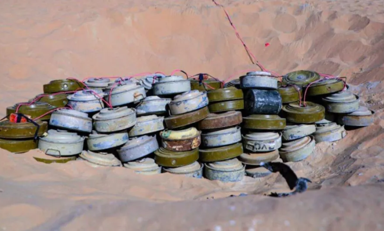 Project Masam: More than 1,600 landmines removed in Yemen in one week
