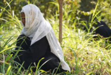 Agriculture and food security in Yemen are vulnerable due to climate change | Crisis analysis