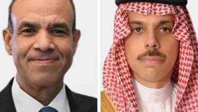 وزيرا خارجية السعودية ومصر: تنسيق مشترك لمواجهة تحديات المنطقة