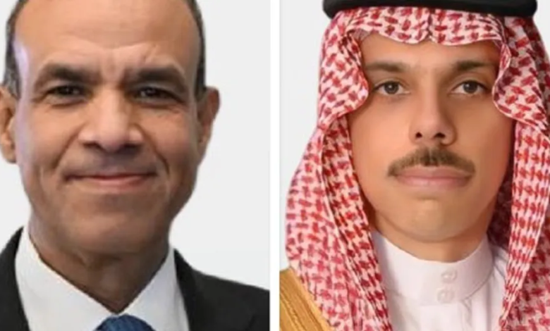 وزيرا خارجية السعودية ومصر: تنسيق مشترك لمواجهة تحديات المنطقة