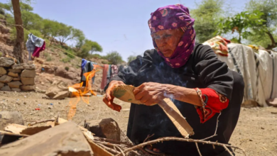 شراكة يمنية مع البنك الدولي: 285 مليون دولار لدعم اليمن