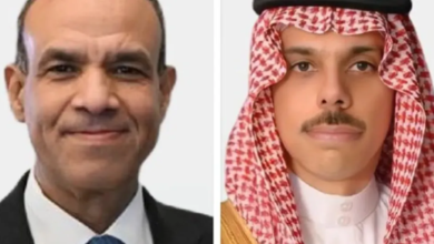 السعودية ومصر يبحثان جهود وقف التصعيد في المنطقة | أخبار