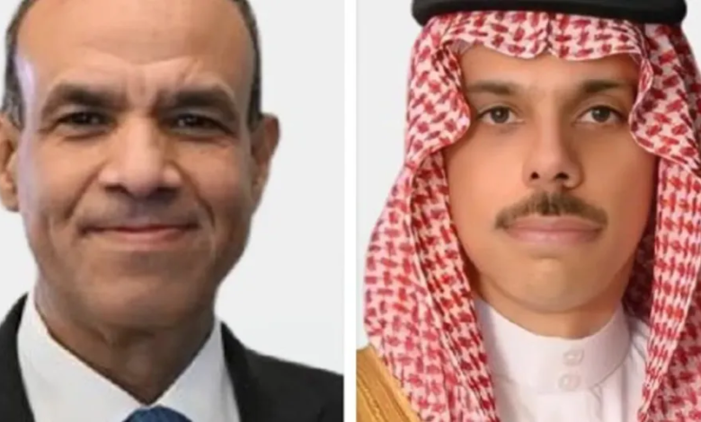 السعودية ومصر يبحثان جهود وقف التصعيد في المنطقة | أخبار