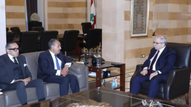 مصر تدعم لبنان ضد الاعتداءات الإسرائيلية على الجنوب