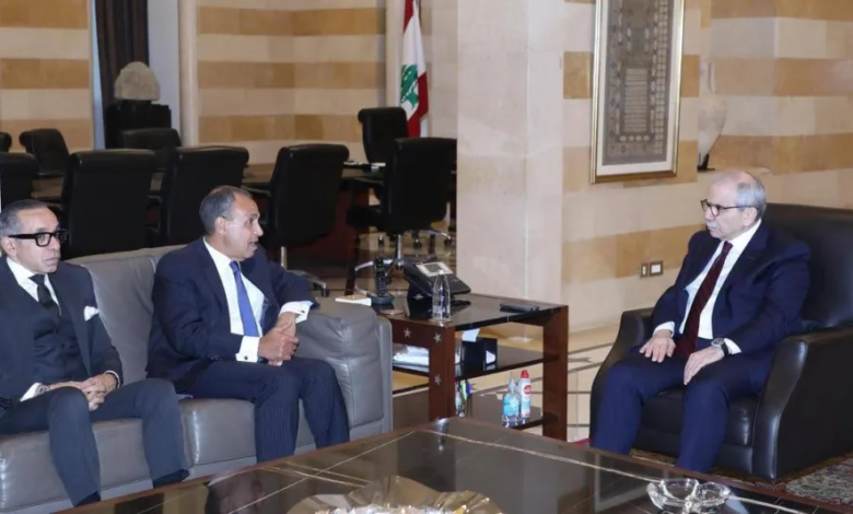مصر تدعم لبنان ضد الاعتداءات الإسرائيلية على الجنوب