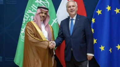 وزير الخارجية السعودي يبحث في فيينا التعاون وقضايا المنطقة