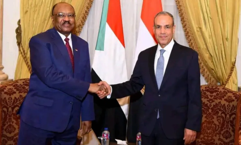 جهود مصرية جديدة لدفع مفاوضات السودان خوفاً من التقسيم