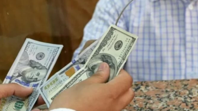 Remittances from Egyptians abroad jump to $34.9 billion in 9 months
