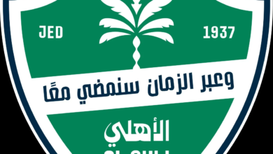 إلغاء ألعاب الأهلي المختلفة: مستقبل السلة والطائرة واليد في خطر