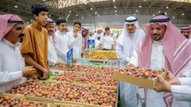 صادرات التمور السعودية: المملكة الأولى عالمياً بقيمة 1.7 مليار ريال