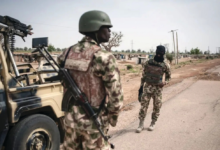 Nigerian army frees hostages and kills militants in new operation
