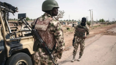Nigerian army frees hostages and kills militants in new operation