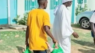 Distribution of sacrificial animals in Sudan: Saudi aid for 600 families in White Nile State
