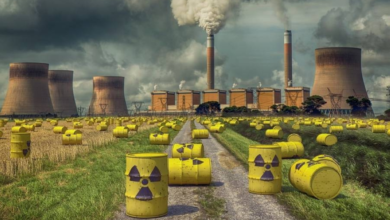 Nuclear oversight in Saudi Arabia: A guarantee of security and sustainable investment