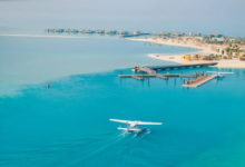 Red Sea International: Environmental achievement that spared it 118,000 tons of carbon