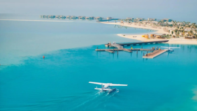 البحر الأحمر الدولية: إنجاز بيئي يجنبها 118 ألف طن كربون