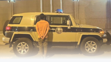 جازان: القبض على ناقل 10 مخالفين لنظام أمن الحدود | أخبار السعودية