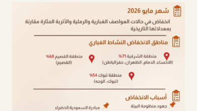 Dust storms in the Eastern Province decrease by 71%: Saudi Arabia's green efforts