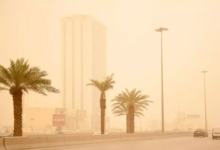 Dust storms: Report reveals 61 hours of dust in the region's countries