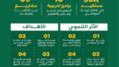 مجمعات الإنتاج الحيواني في السعودية: دعم 56 ألف مستفيد
