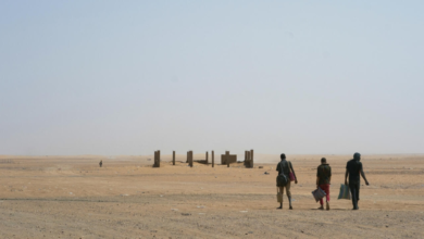 49 people killed in the Niger desert: details of the thirst tragedy