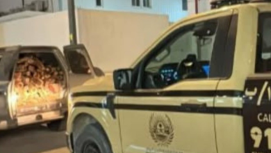 ضبط مخالفة نقل الحطب المحلي بالرياض: جهود الأمن البيئي تتواصل
